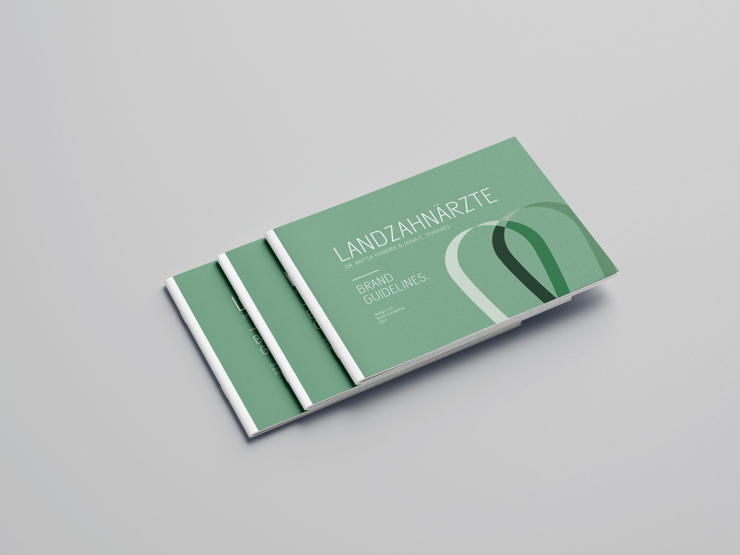 Brand Guidelines des Coporate Design der Landzahnärzte Sibbesse. Gestaltung Larissa Mewes